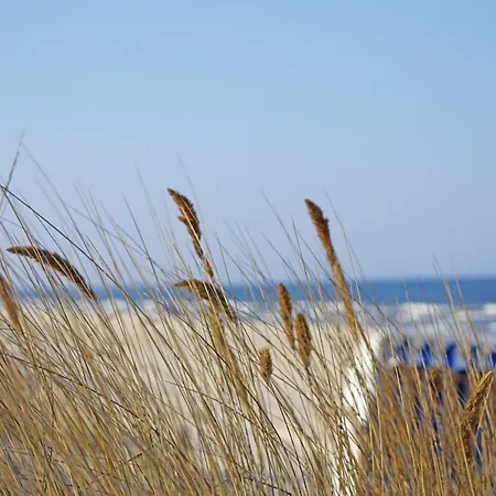 Madeleine 9 * Heringsdorf (Usedom)